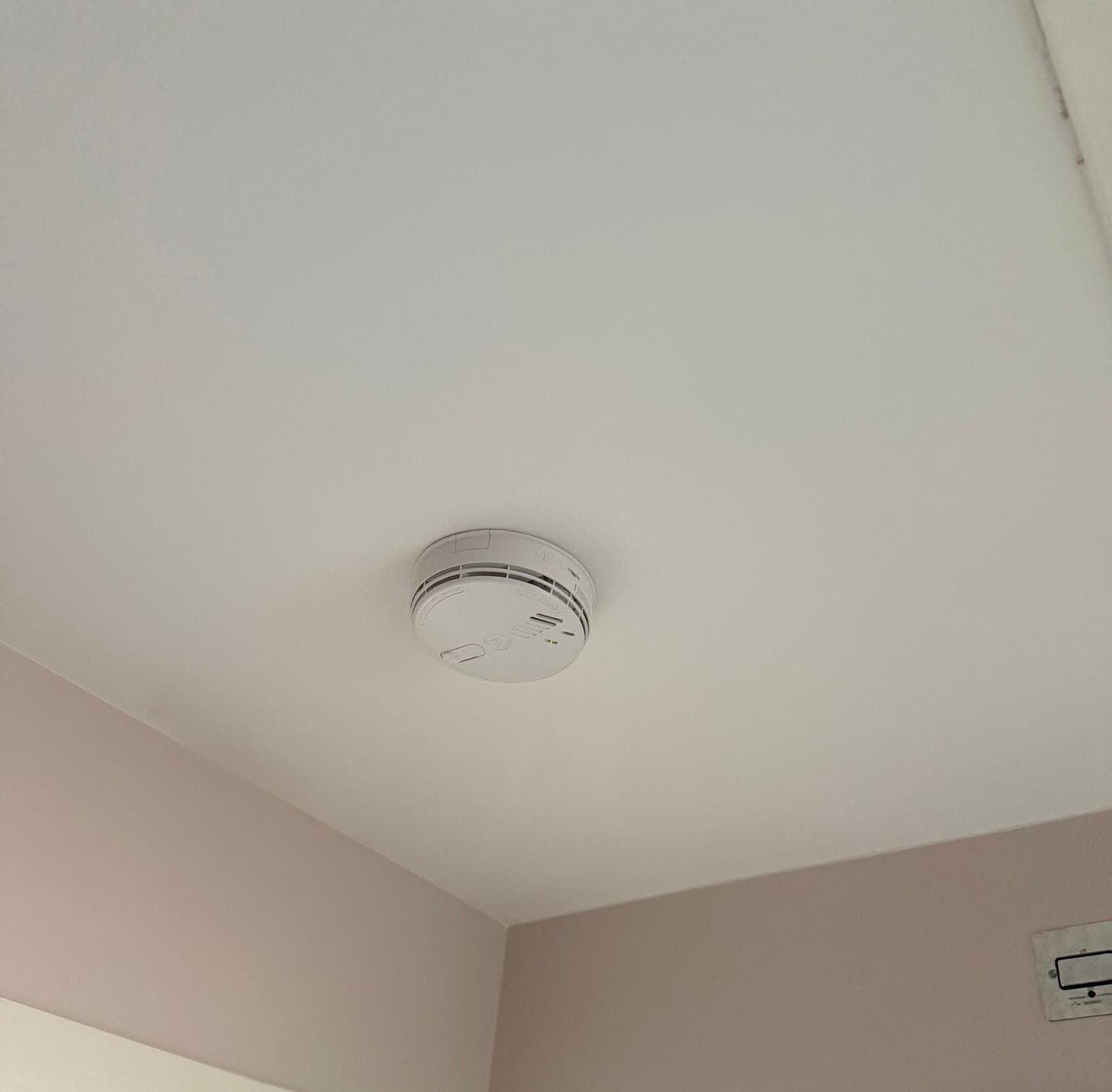 Electrical work by DP Power Solutions — job 019